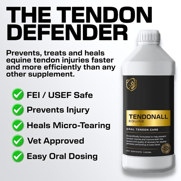A high-contrast, informative ad for an equine supplement featuring clear, bulleted benefits and a product shot to drive consumer trust and conversion.